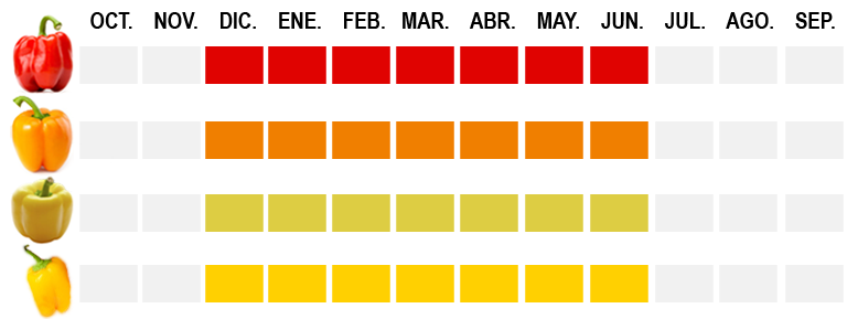 Calendario